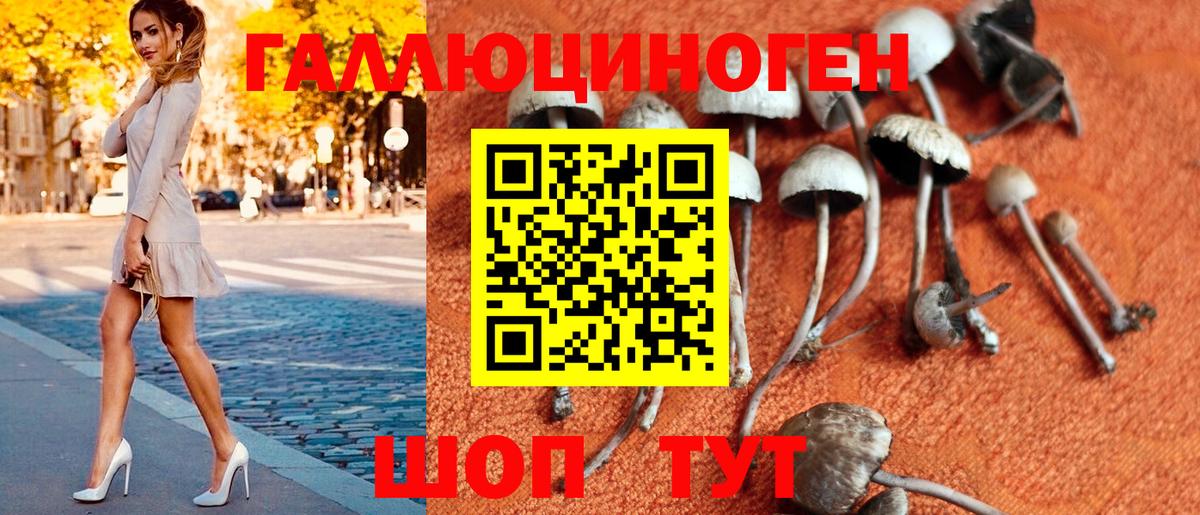 Галлюциногенные грибы Psilocybine cubensis  Вход с VPN  Галлюциногенные грибы ЛСД  Верхняя Пышма 